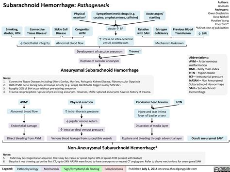 Subarachnoid Hemorrhage Pathogenesis Calgary Guide