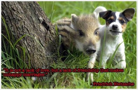 Friendship Quotes With Animals Pictures