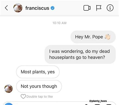 60 Plant Memes For You To Dig Through Plant Jokes Memes Plants