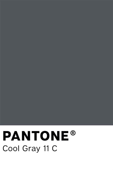 Fun Cool Grey 11c Pantone 266