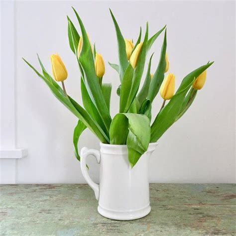 I can't find any comparables. Vintage White Pitcher Homer Laughlin Ceramic Ironstone ...