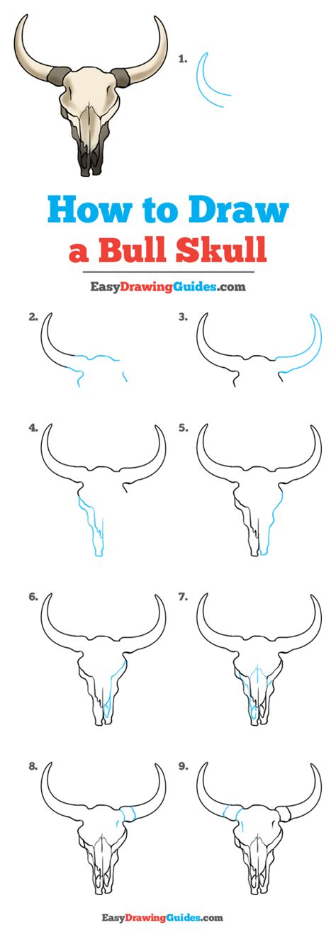 How To Draw A Bull Skull Really Easy Drawing Tutorial