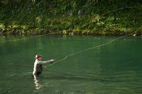 Fly Fishing Tips Tricks And Techniques Fishingpedia
