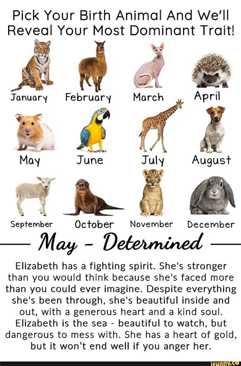 Pick Your Birth Animal And Well Reveal Your Most Dominant Trait é Hoe