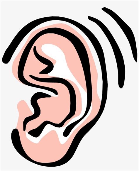 Free Clip Art Ear Clipart Free To Use Resource 2 Wiki