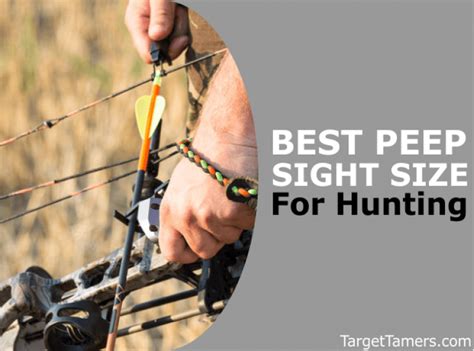 Best Bow Peep Sight Sizes For Hunting Which Size Will Work For You