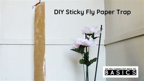 Make Your Own Sticky Fly Papers To Catch House Flies Youtube