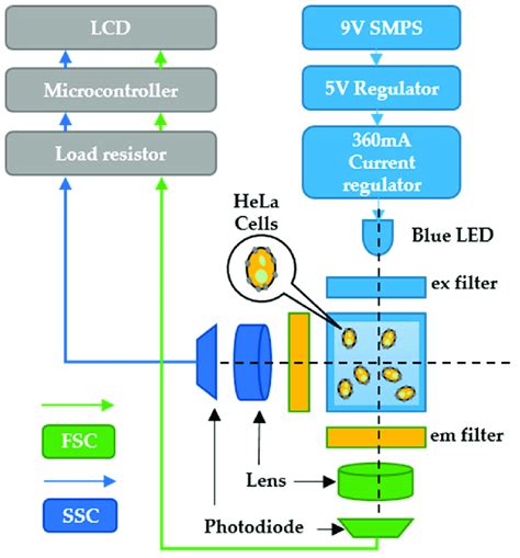 Schematic Design Of The Fluorescence Detection System Download