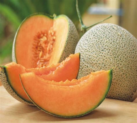 50 Cantaloupe Melon Seeds Hales Best Jumbo Honest Seed Co