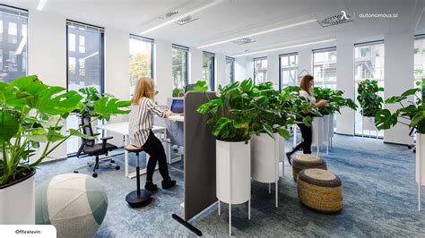 Enhance Your Teams Productivity With Biophilic Office Design