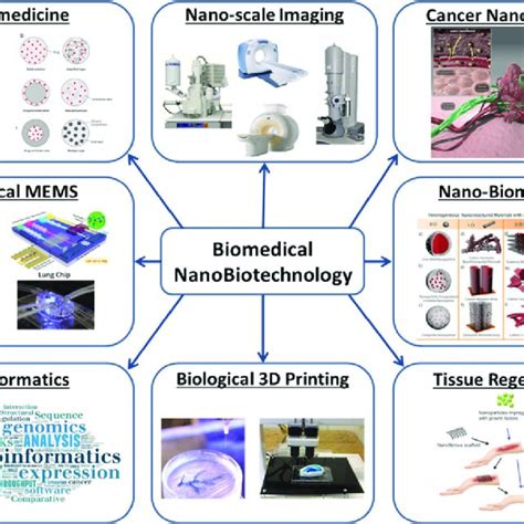 Pdf Nanobiotechnology Medical Applications Overcoming Challenges