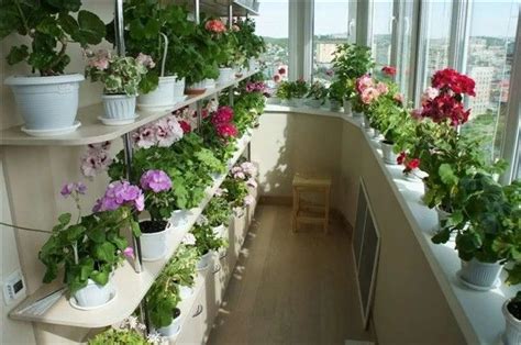 Balcony Vertical Arrangements Best Plant Stand Ideas Balcony Plants