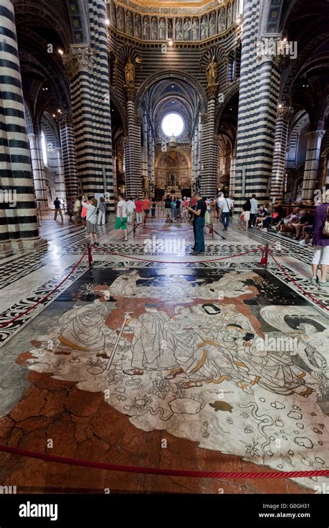 Interior Of Siena Cathedral Italian Duomo Di Siena With Mosaic Floor