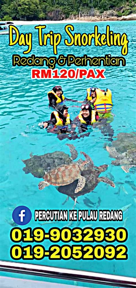 Percutian Ke Pulau Redang Day Trip Snorkeling Pakej Sehari Menyelam Di Pulau Redang