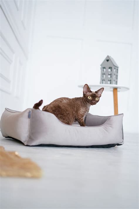 Padded Cat Bed Silver Velvet Small Soft Bed Xs M Sizes Modern Etsy