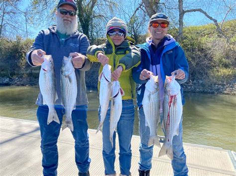 Sacramento River Lower Fish Report Sacramento River Lower