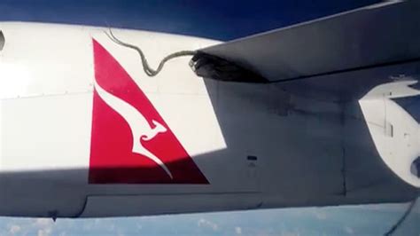 Snake On Qantas Plane Comes Out On Video Australia News The Guardian