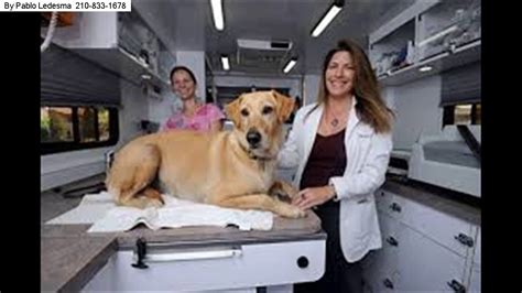 It's important to verify whether the vet near you has a. Mobile Pet Vaccinations Boerne | 210-871-0226 | Mobile Vet ...