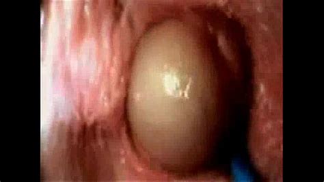 Sperm Insert Man In Vagina XXX Porn Videos Sperm Insert Man In Vagina