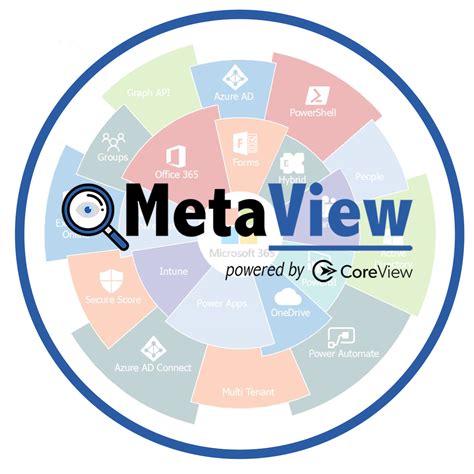 Microsoft Lizenzen Verwalten Mit Metaview Metacomp Gmbh