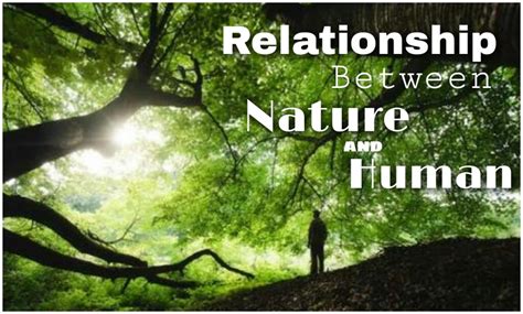 The Human Nature Relationship And Its Impact On Health A Critical Review