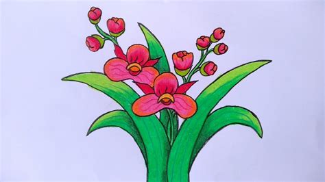 Sketsa Bunga Anggrek Halaman Download Cara Menggambar Bunga Anggrek