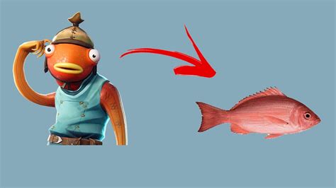 Fishstick Out Of Water Youtube