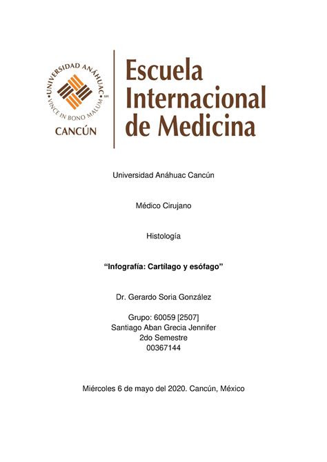 Infografia HIsto Pequeña infografía sobre cartílago Universidad Anáhuac Cancún Médico
