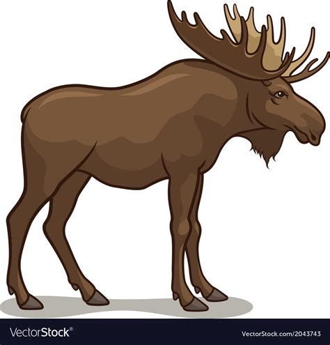 Moose Royalty Free Vector Image Vectorstock