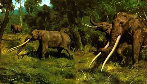 mastodon - définition - What is