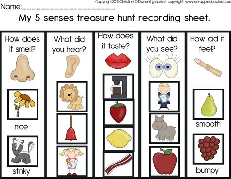 5 Senses Treasure Hunt And A Freebie