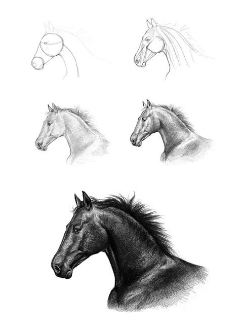 Imagine drawing a bag of groceries: How To… Sketch, Draw, Paint: How To Draw… A Horse's Head ...