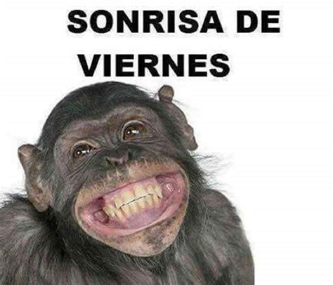Meme Sonrisa Viernes El Paraná Diario