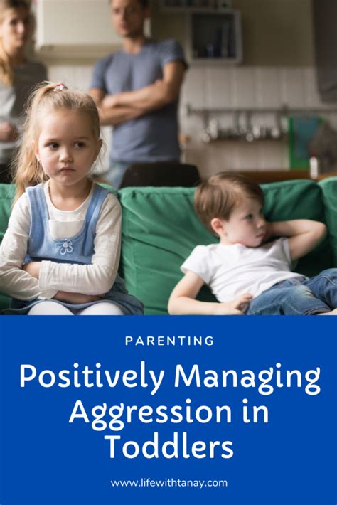 Positive Ways To Manage Aggression In Toddlers Life With Tanay