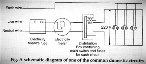 Draw A Labelled Diagram Of Domestic Electric Circuit Class 10 Wiring