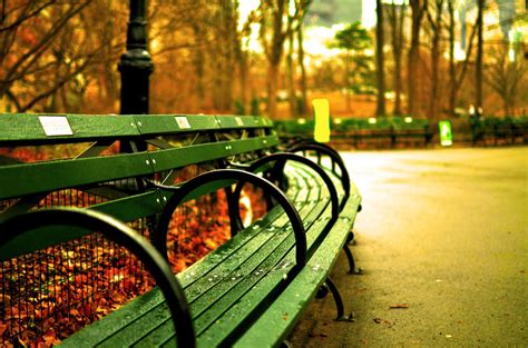 Free Images Tree Light Bench Night Photography Sunlight Morning