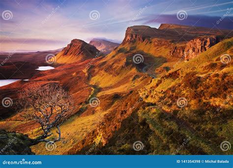Tree In Quiraing Mountain Range View From Quiraing Mountains Into