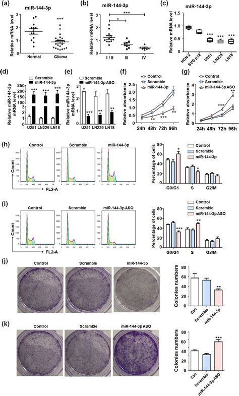 mir 144 repressed gliomas proliferation a the expression of mir 144 download scientific