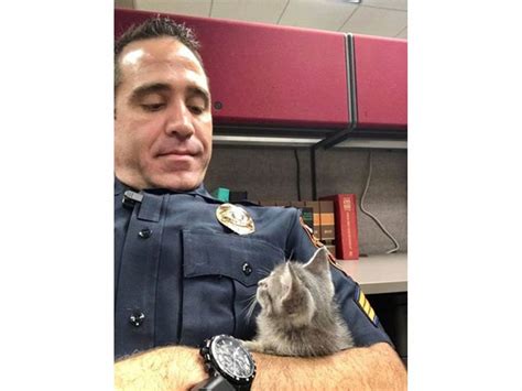 Stray Kitten Steals Cops Hearts Lakeland Fl Patch