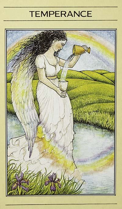 The temperance card is labeled number 14, so it possesses the vibrational energy and characteristics of the number fourteen. The Temperance Tarot Card Meanings - Major Arcana - TarotLuv