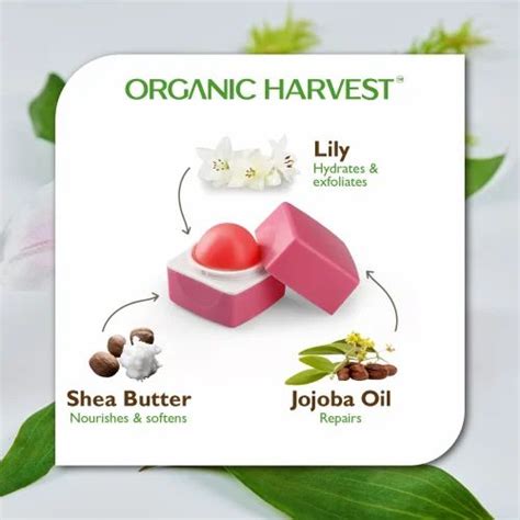 Organic Harvest Pink Tinted Lip Balm Lily 10gm At Rs 200piece लिप