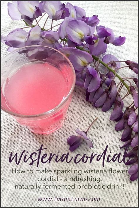 These drinks became so popular that they grew into a separate class of cocktails and inspired many other recipes over the years. Yes, wisteria flowers are edible and they make delicious ...