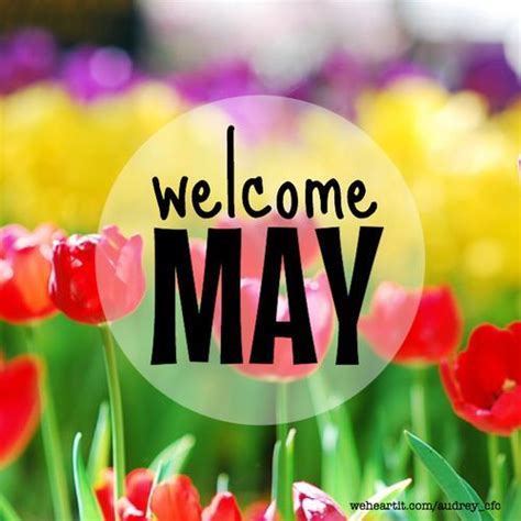 Welcome May Month May Quotes Hello May Welcome May May