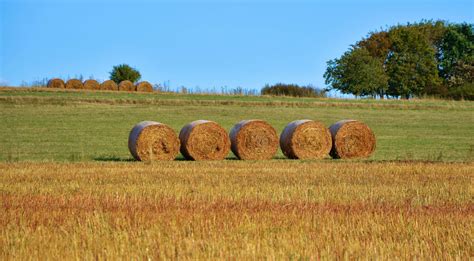 Agriculture Arable Bale Countryside Crop Dry Farm Farming Field