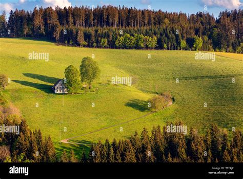 Lonely Farm House In Hilly Landscape Stmärgen Black Forest Baden