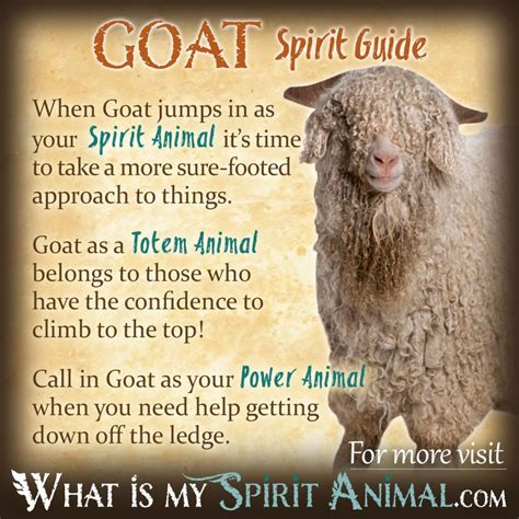 Goat Symbolics And Meaning Spirit Totem And Power Animal Flonchi