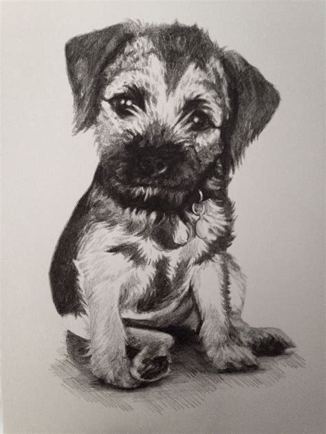 A Black And White Drawing Of A Dog Sitting On The Ground With Its Paws