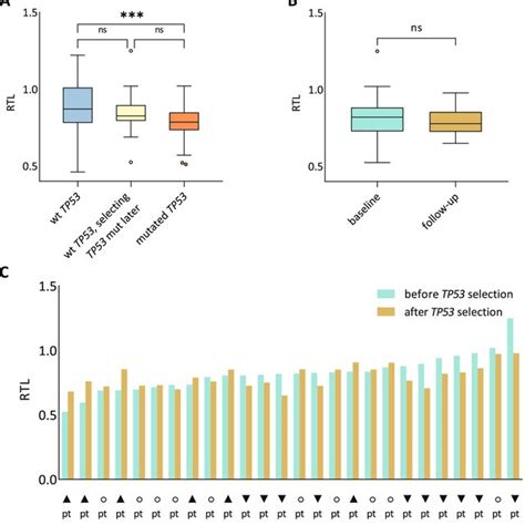 Relative Telomere Length Dynamics In The Context Of TP53 Mutation