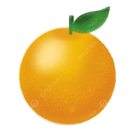 Orange Fruit Png Picture Orange Fruit Orange Fruit Yellow Png Image