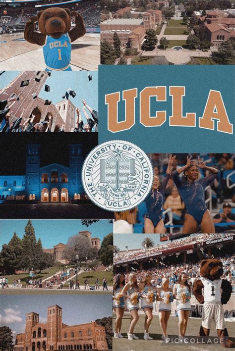 Ucla Collage In 2023 Dream College Ucla Vision Board Photos
